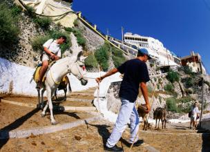 Old port donkey ride